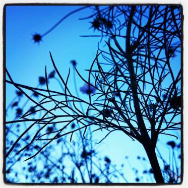 mort d'un proche et recueillement