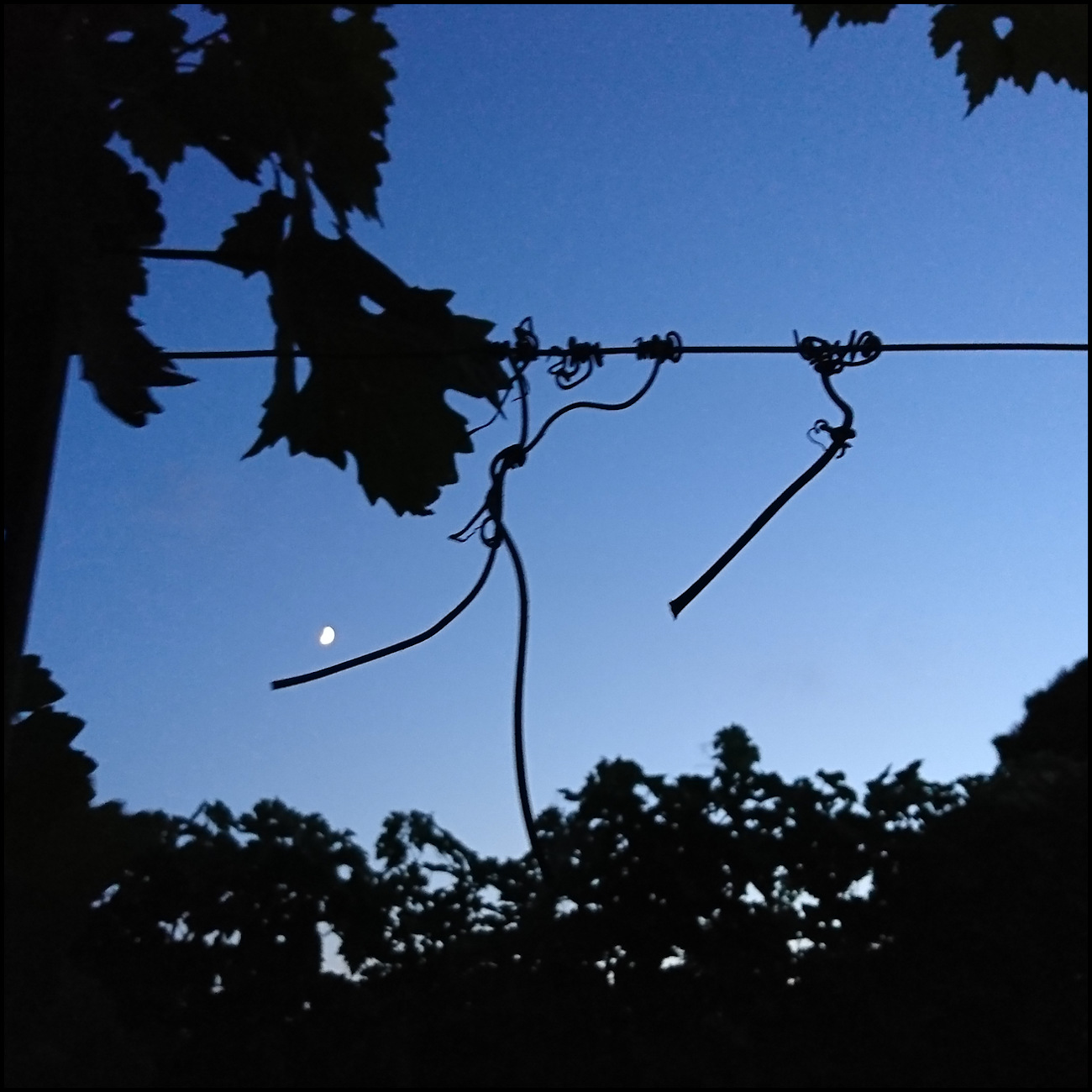 surprises autour de la fin de vie