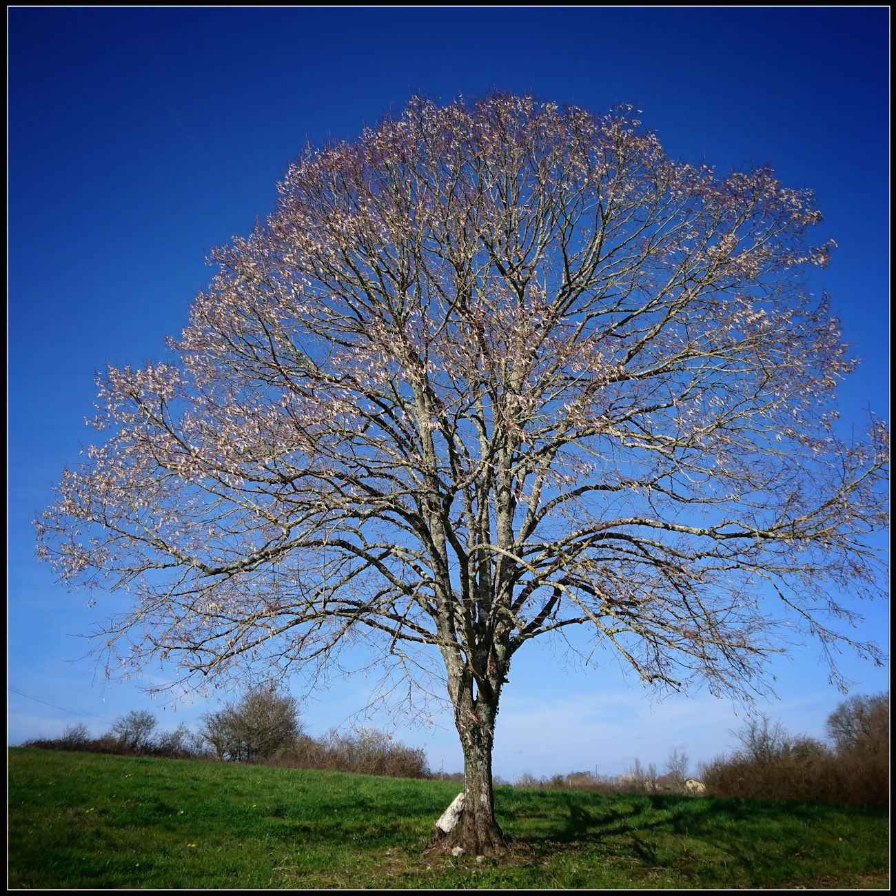 en attendant sa thanadoula