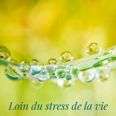 Loin du stress de la vie