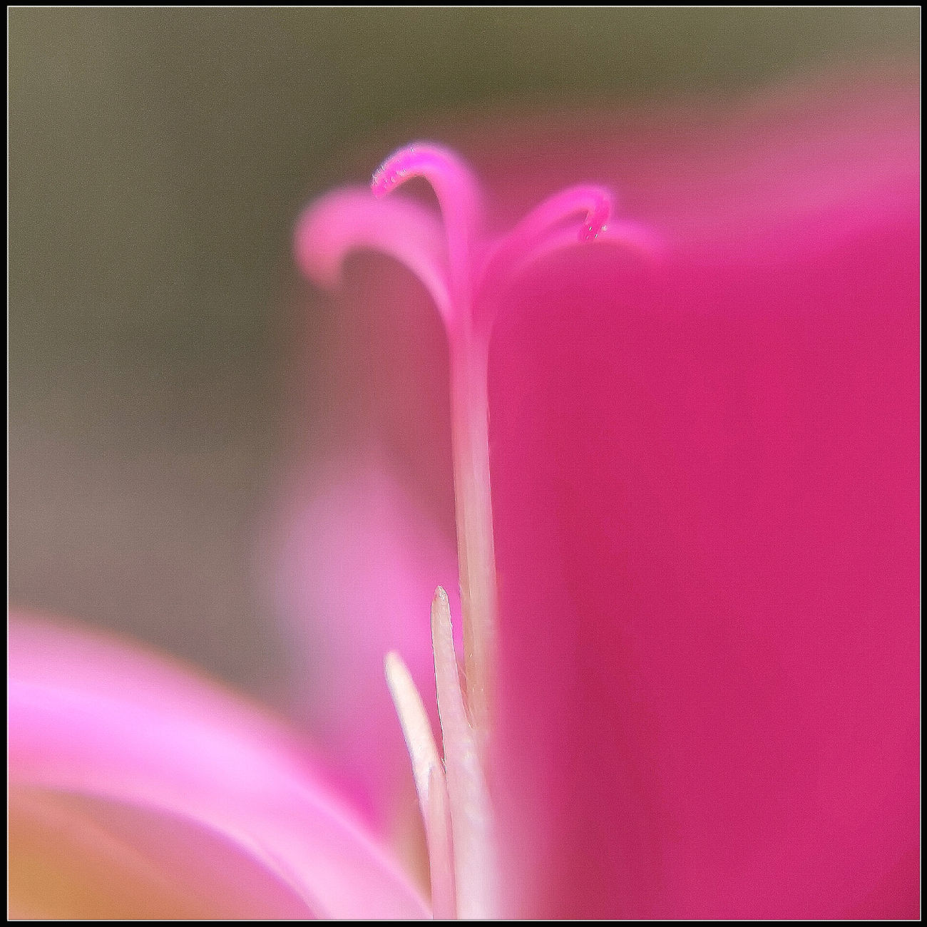 reconnaitre un enfant après une IVG