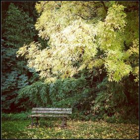 Le banc, là où on t'attend encore