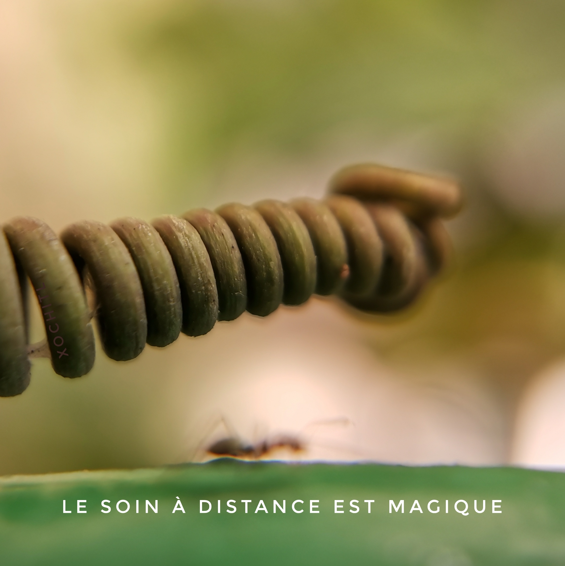 témoignage soin à distance