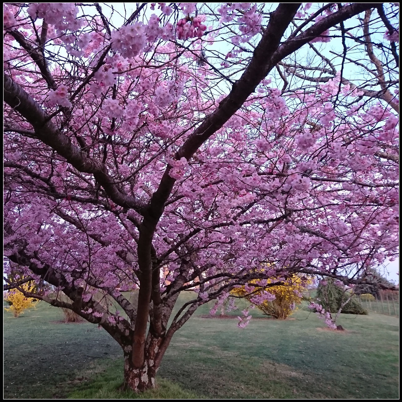 une annonce en bienveillance