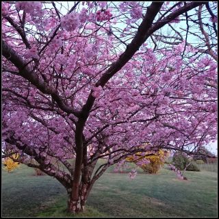 une annonce en bienveillance