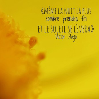 avancer dans le deuil victor hugo