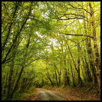 El camino de la vida y de la muerte