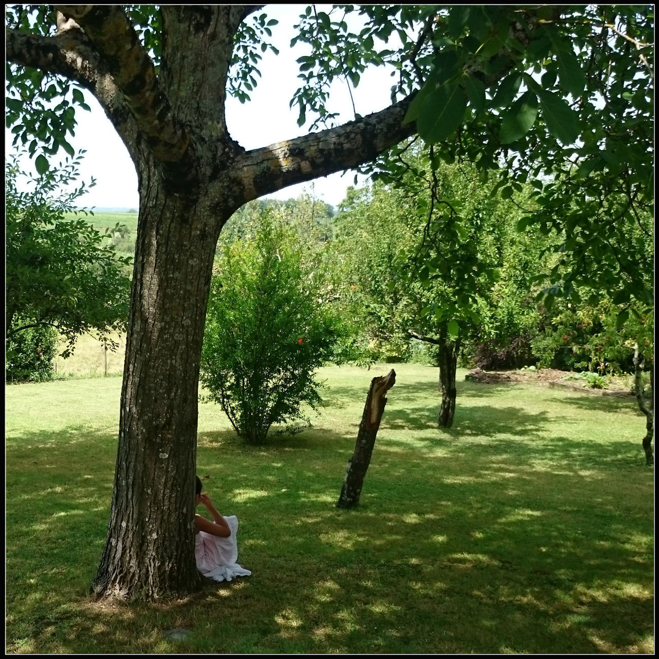 fin de vie et retrouvailles