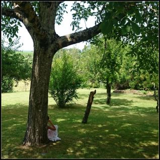 fin de vie et retrouvailles