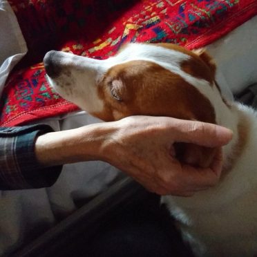 Amour inconditionnel