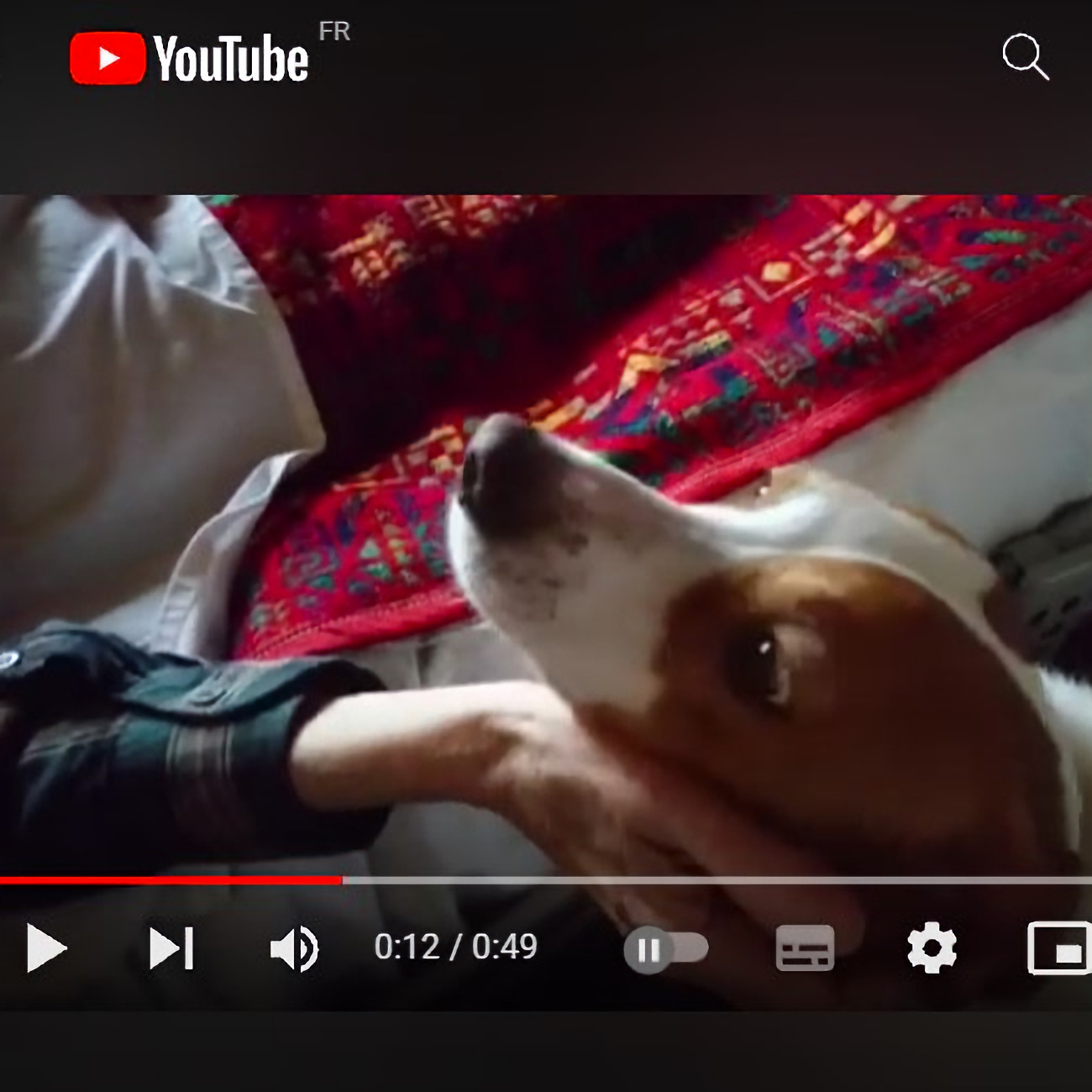 amour inconditionnel et fin de vie