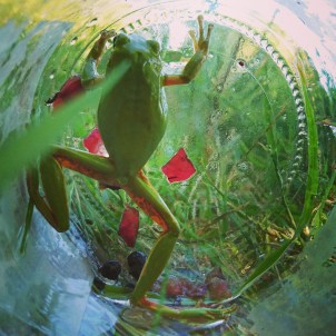 enfermées dans un fonctionnement imposé par le monde actuel, certaines personnes ne s'autorisent pas la tristesse