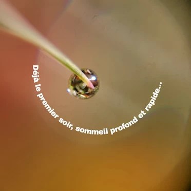 Petite goutte d'eau qui ressemble à une perle, comme celle rencontrée par la personne qui témoigne suite à un soin énergétique fait par Armelle, avec le retour du sommeil.
